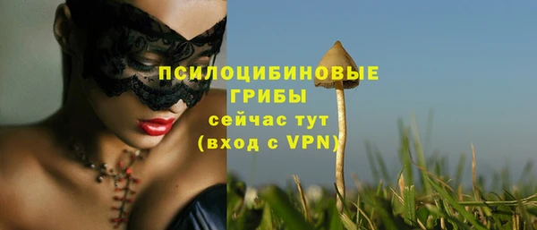 экстази Козловка