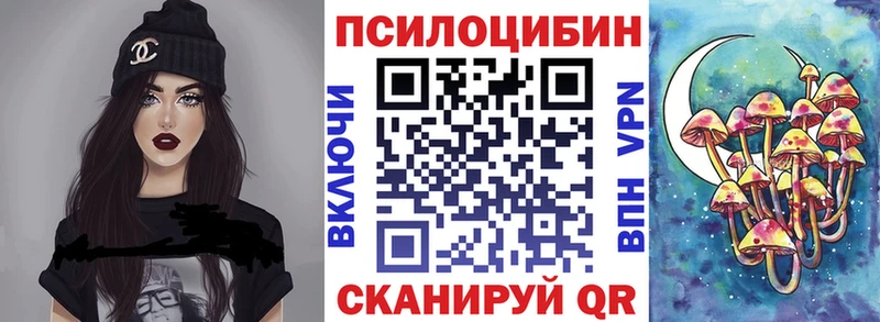 Псилоцибиновые грибы Cubensis  Купить где  Архангельск 